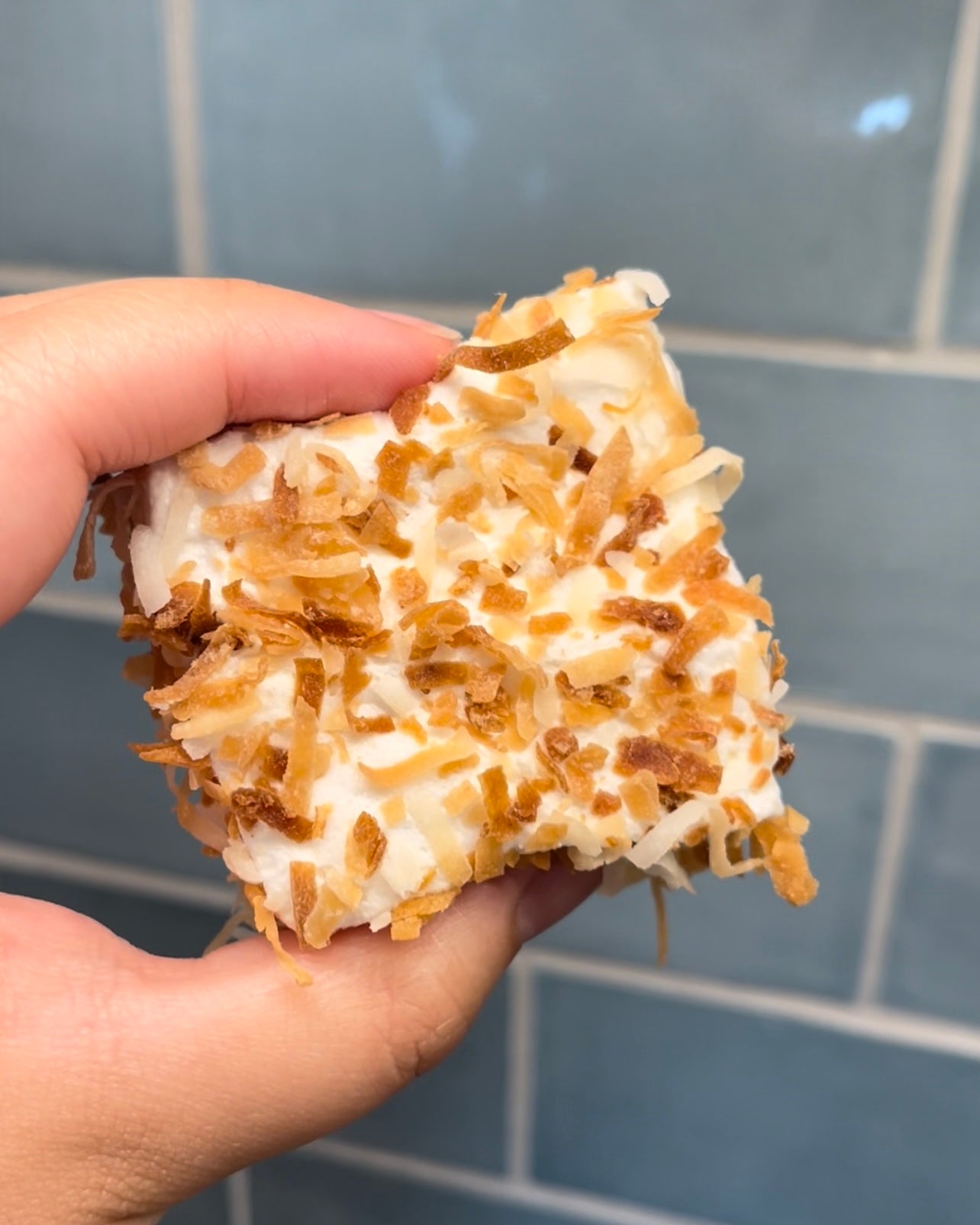 Toasted Coconut Mallows